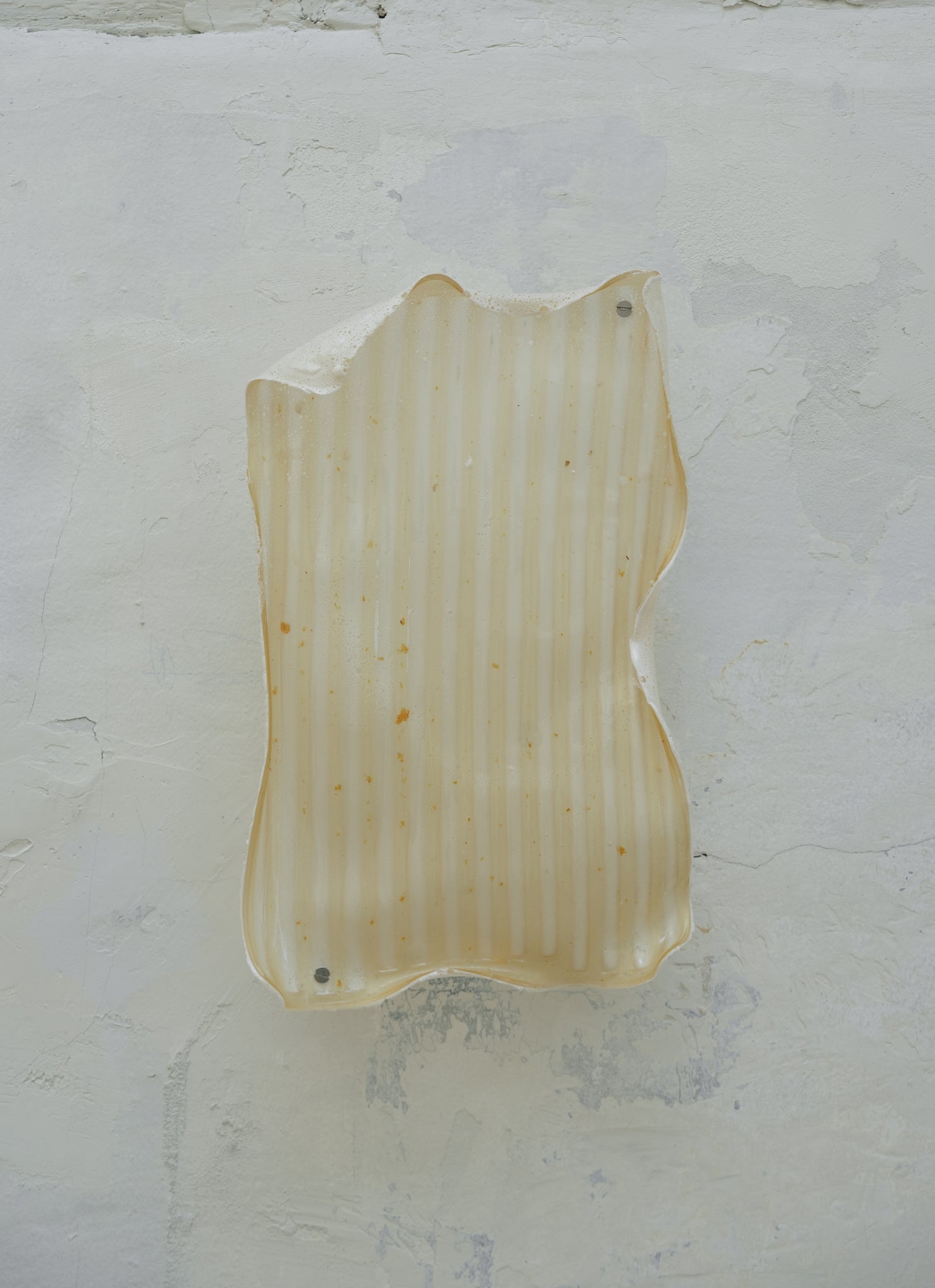 Natural Material Studio